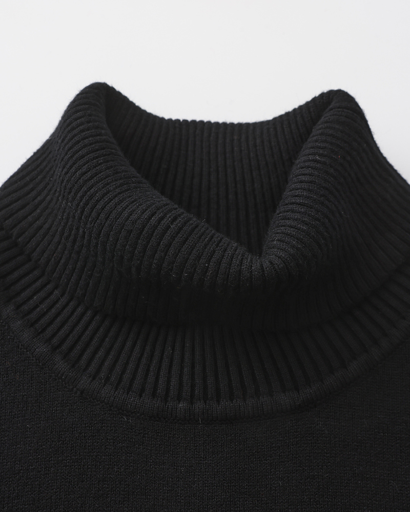 AVASÉ Fall Turtleneck